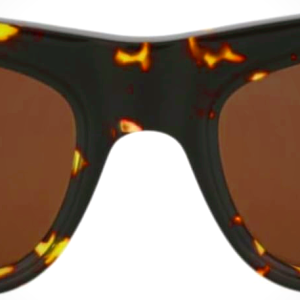 Bottega Veneta Round-Frame Acetate Sunglasses for Women