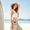 KKXIU Top Handle Small Straw Woven Crossbody Bag for Women Summer Mini Straw Beach Clutch Shoulder Purse (beige) crossbody strap phone