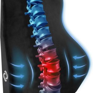 Samsonite Lumbar Support Pillow Mid and Lower Back– Office Chair Back Cushion, Gaming Chair, Desk Chair, Car Seat Lumbar, Work from Home Office Accessories, Black formula 1