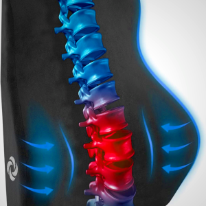 Samsonite Lumbar Support Pillow for Mid and Lower Back Pain Relief