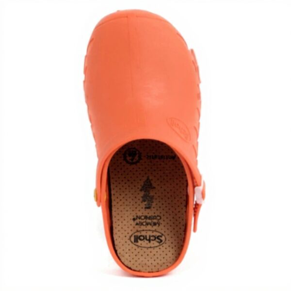 Doctor Scholl Clog EVO Anatomic Antistatic Insole Comfort